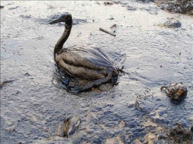 China Oil Spill
