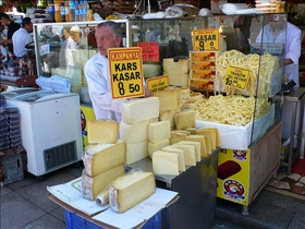 Hard Cheese